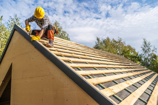 Best Metal Roofing Contractor  in Untain View, MO