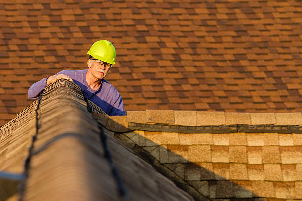 Roof Waterproofing Services in Mountain View, MO